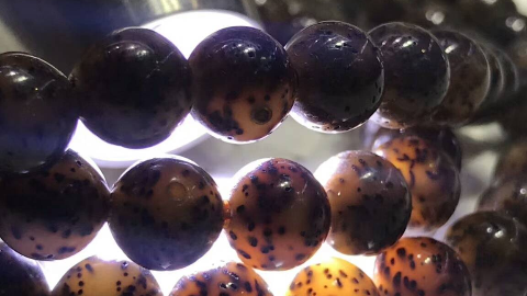 星月菩提去车痕方法