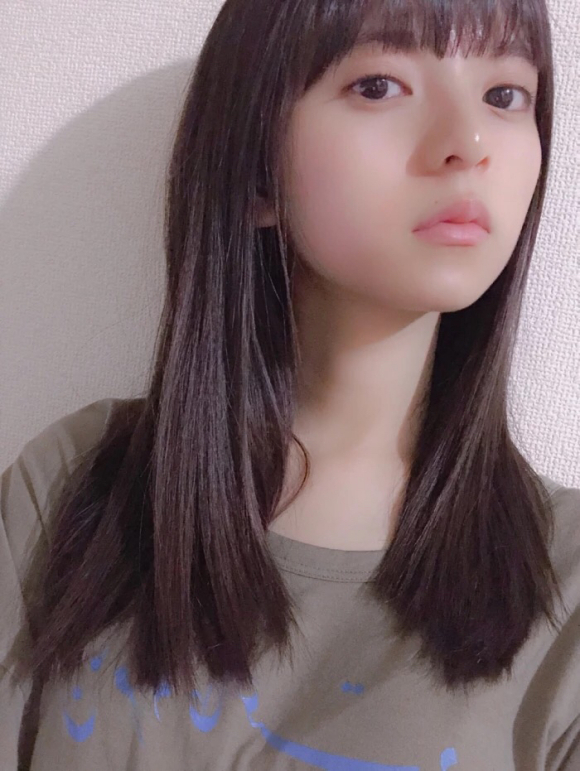 呆头飞鸟壁纸美图