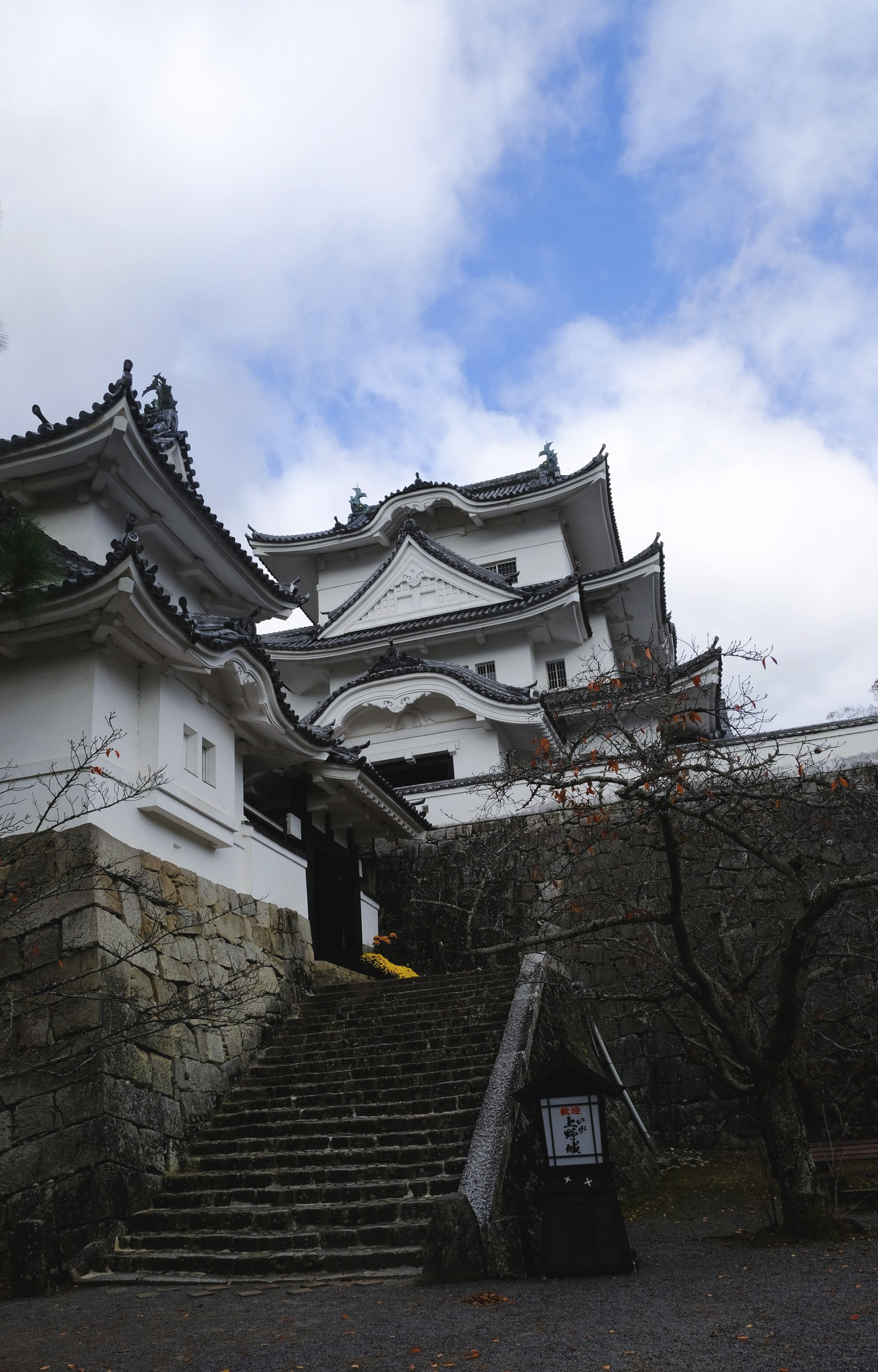 日本的城伊贺上野城