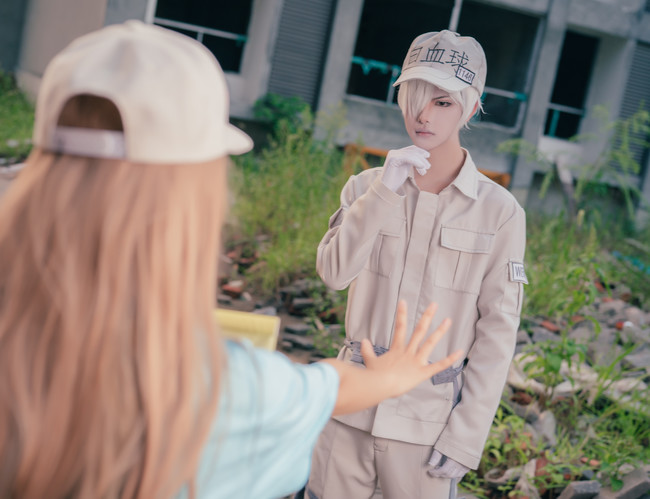 cos工作细胞血小板白细胞