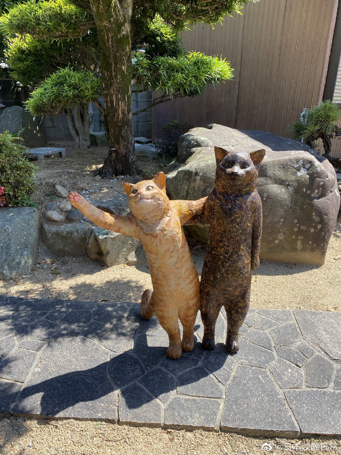 擅长雕猫的岛国木雕大师在家举办了一场live