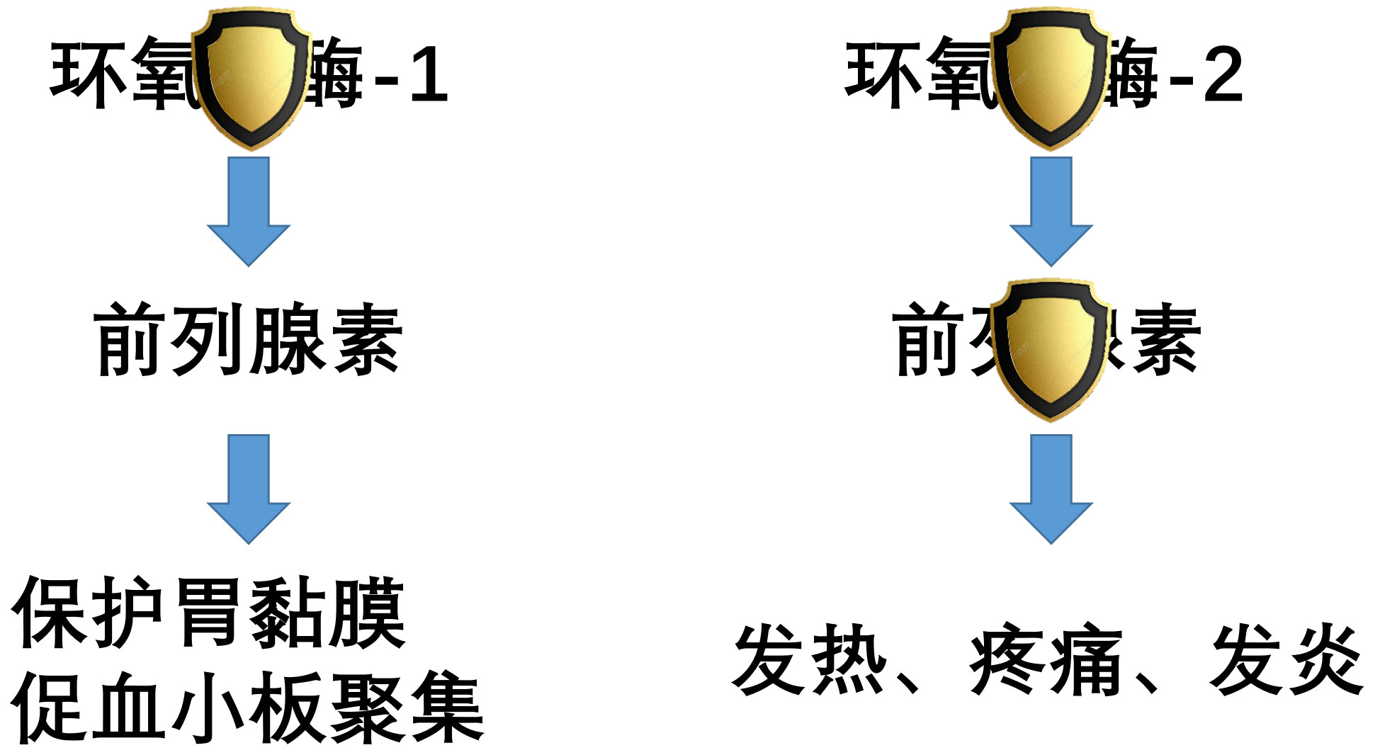 关节炎药大佬非甾体抗炎药