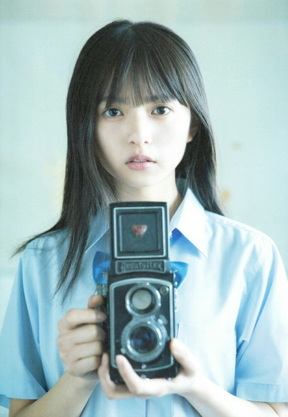 呆头飞鸟壁纸美图