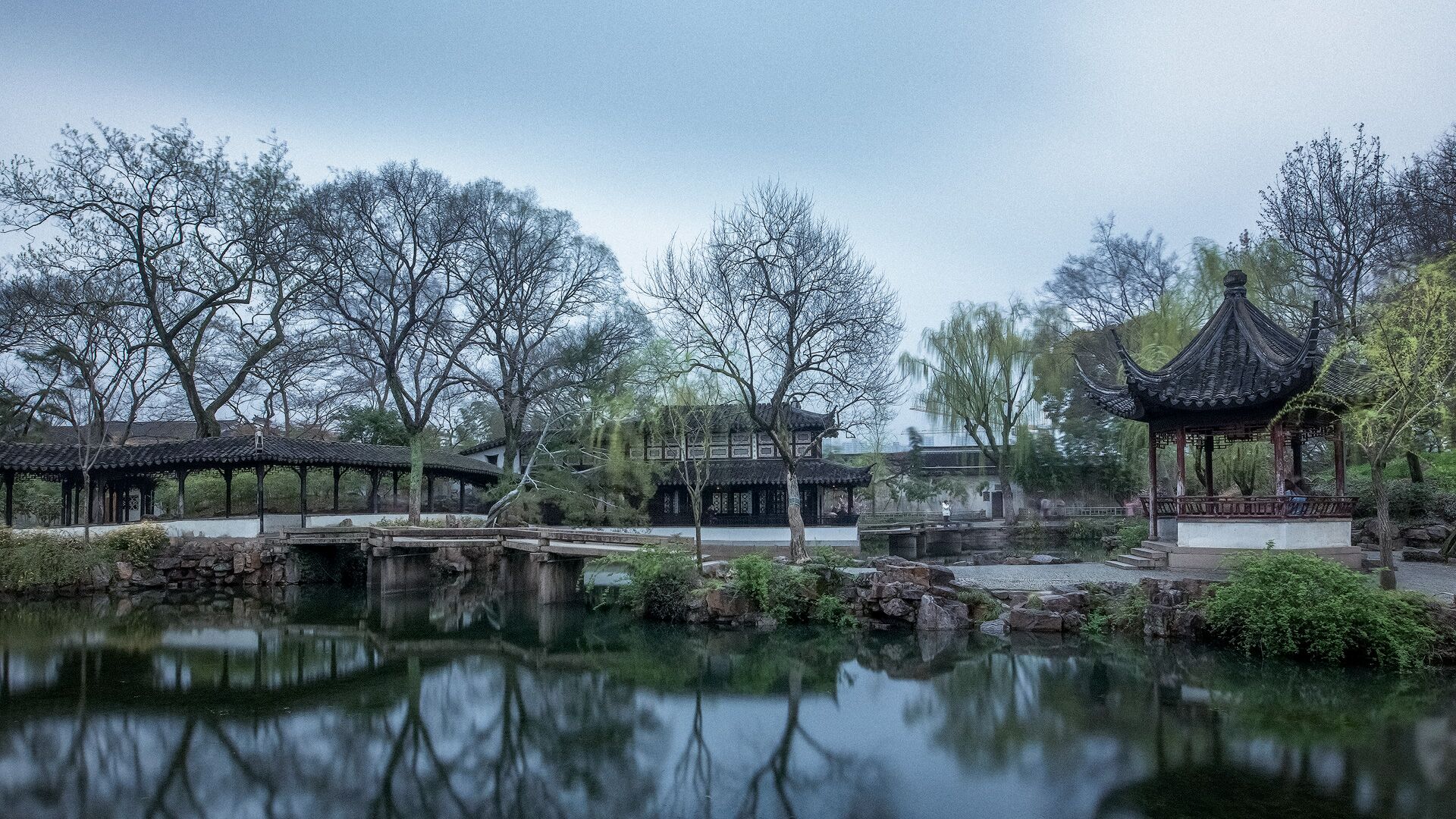 春天的拙政园美景无处不在