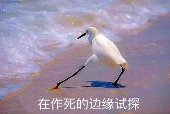 在潘多拉星球的土著生物之间"荒野求生",每天都生活在死亡边缘