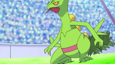 精灵宝可梦小智的宝可梦蜥蜴王篇下