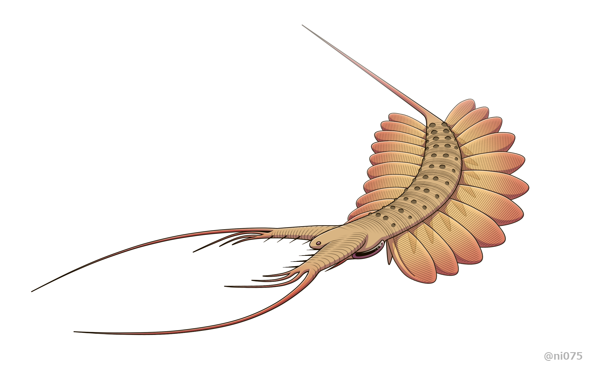 寻奇录奇虾恐虾纲我留了一手就让人类不知所措