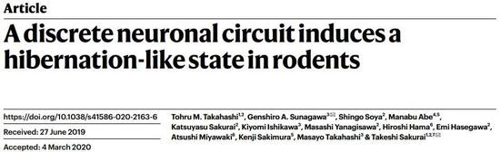 生命的暂停键 科学家首次在小鼠大脑中找到 冬眠开关 Acfun弹幕视频网 认真你就输啦 W ノ つロ