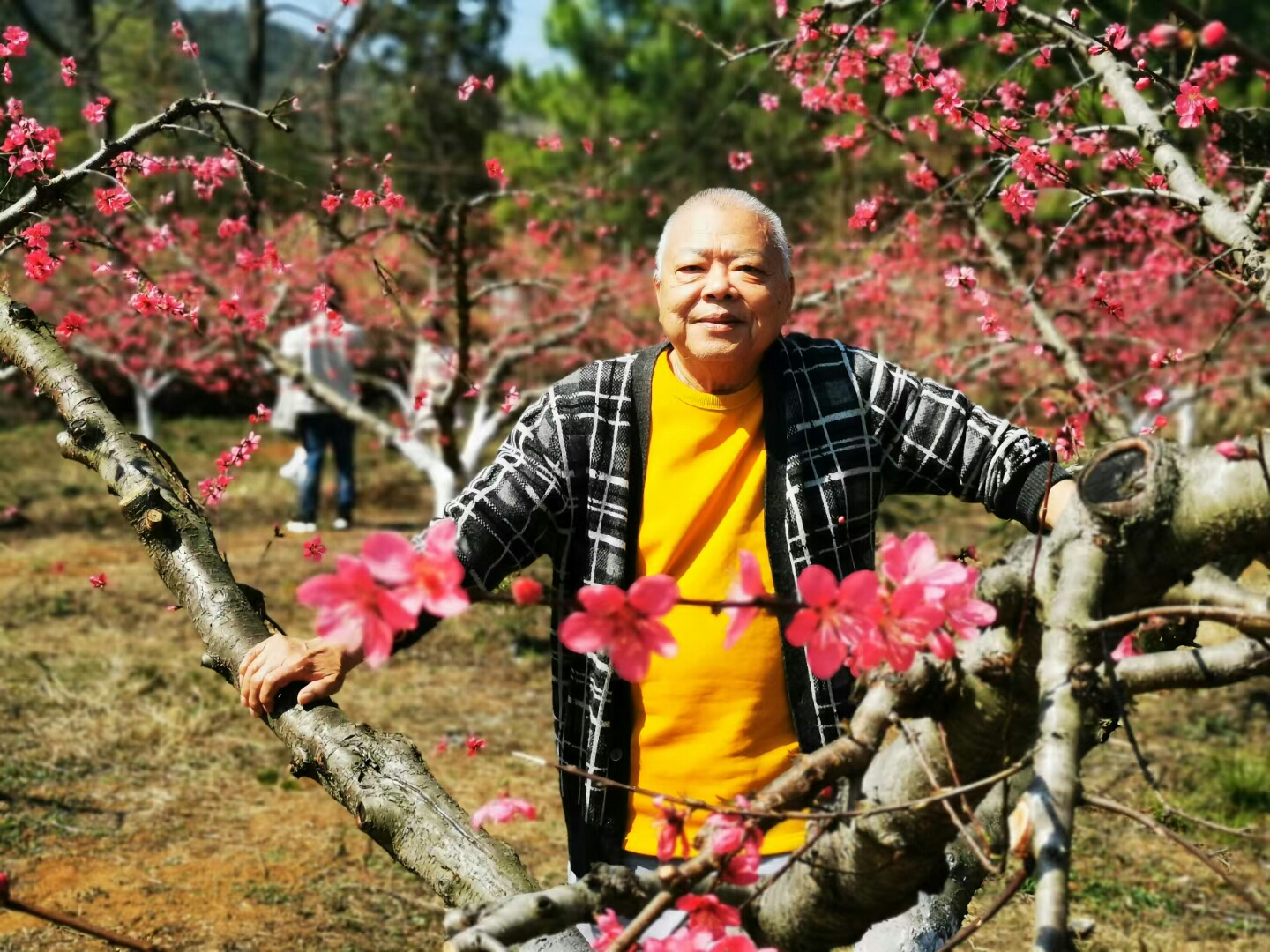香港咏春之徐广林师承岑能2021年02月14日