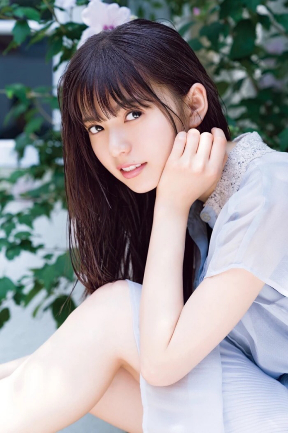 呆头飞鸟壁纸美图