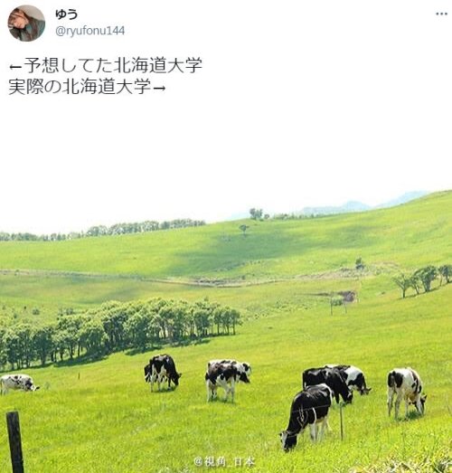 想象中的北海道大学 现实中的北海道大学