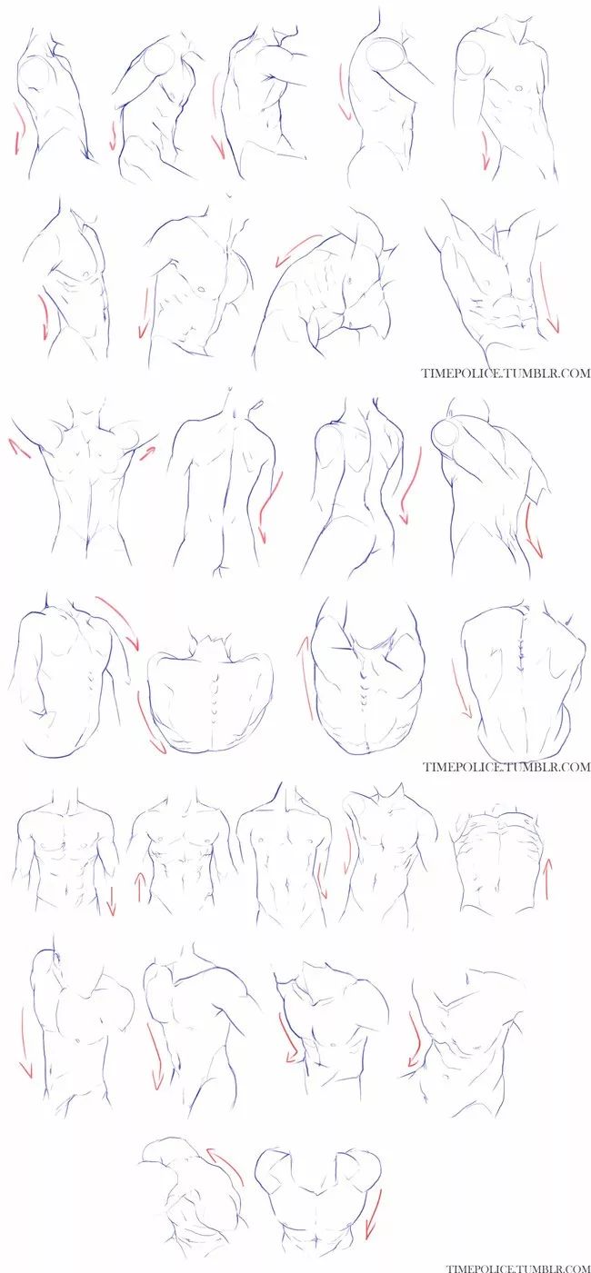 教你画出像兄贵一样结实的肌肉男性人体比例基础绘画教程