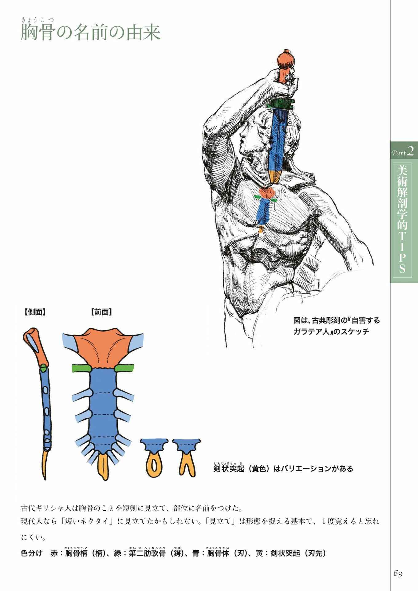 加藤公太 美术解剖学 Acfun弹幕视频网 认真你就输啦 W ノ つロ