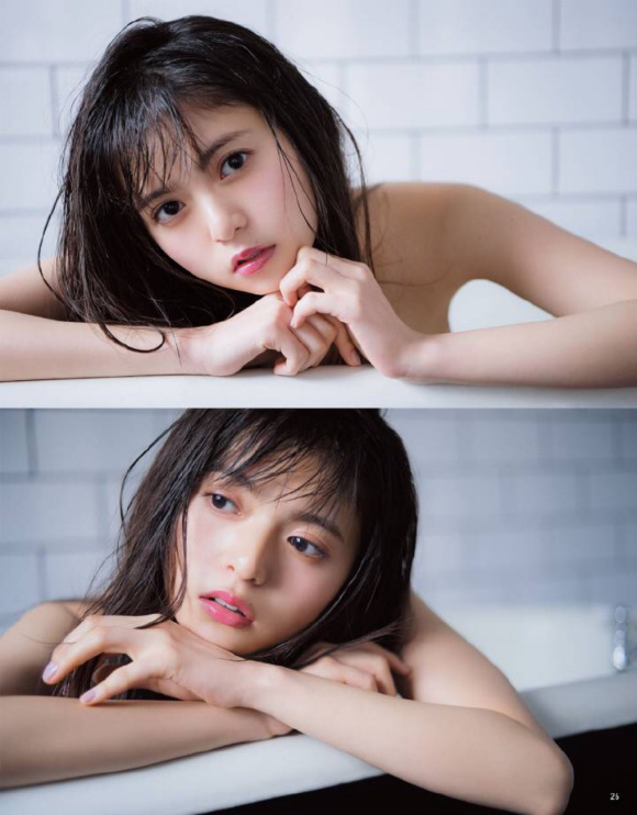 呆头飞鸟壁纸美图