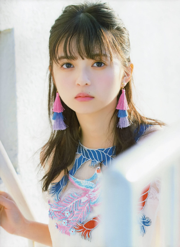 呆头飞鸟壁纸美图