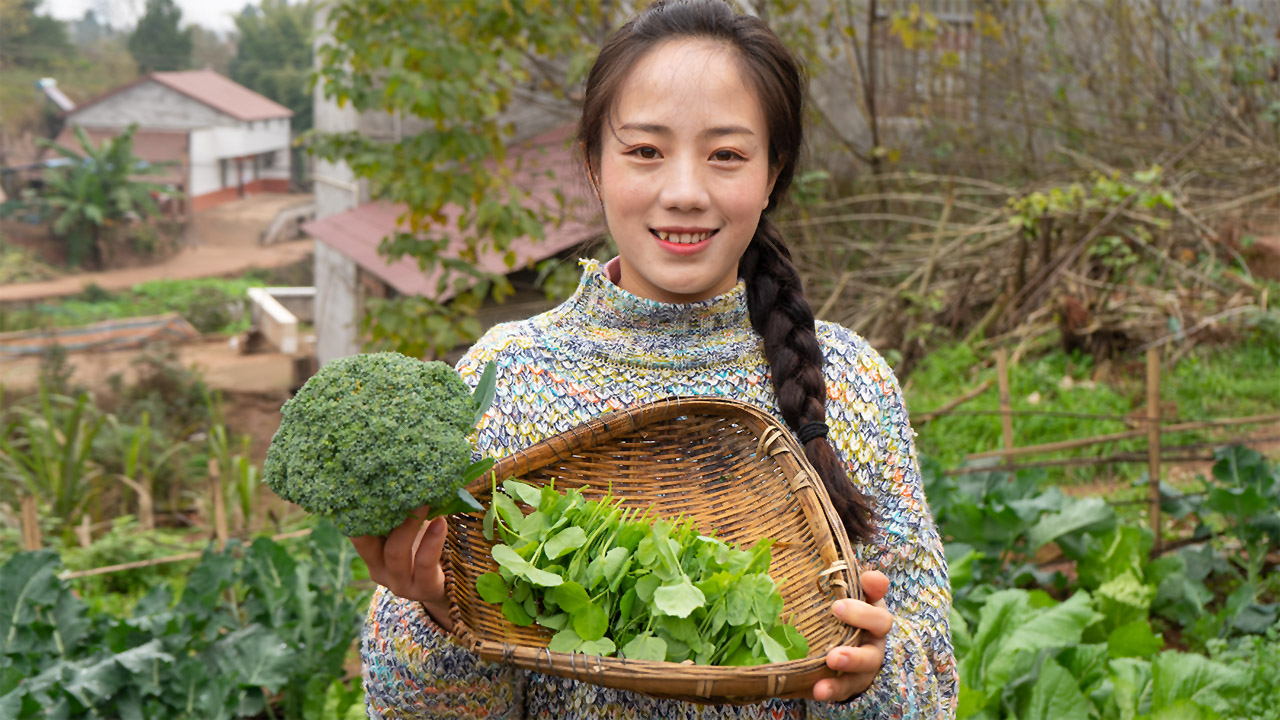 农村小妹在地里摘个西兰花,简单炒个素菜,男友都赞不绝口