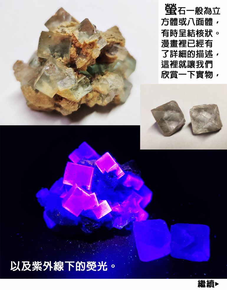 漫画 瑠璃的宝石 06