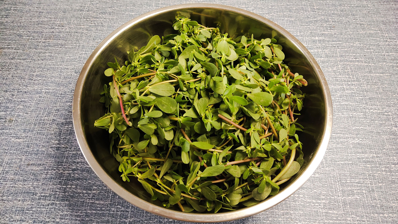 马齿苋八种吃法中药师胡晓雪马齿苋三大功效三类人群禁忌马齿苋与一物