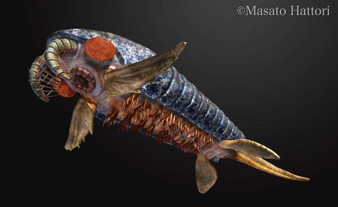 寻奇录奇虾恐虾纲我留了一手就让人类不知所措