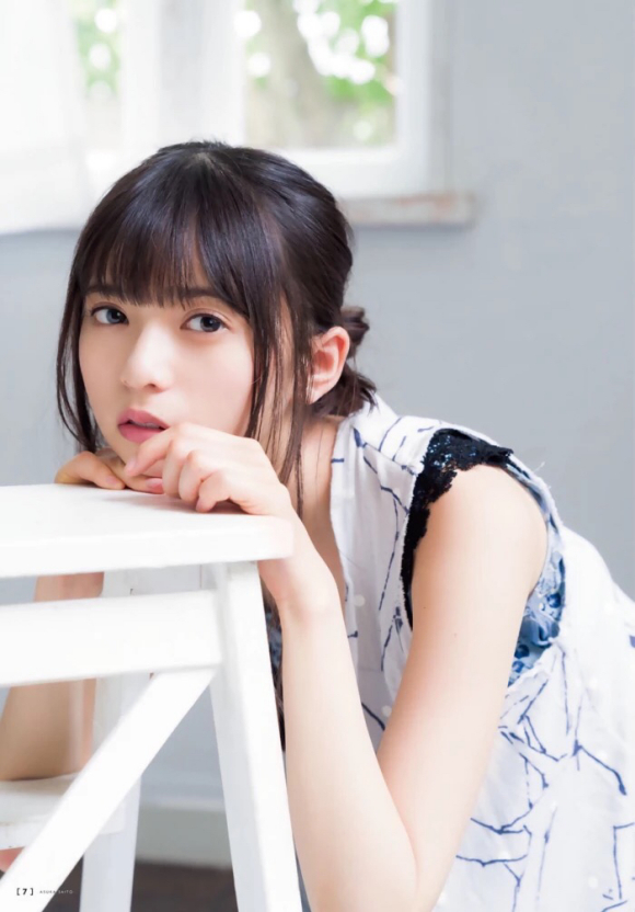 呆头飞鸟壁纸美图