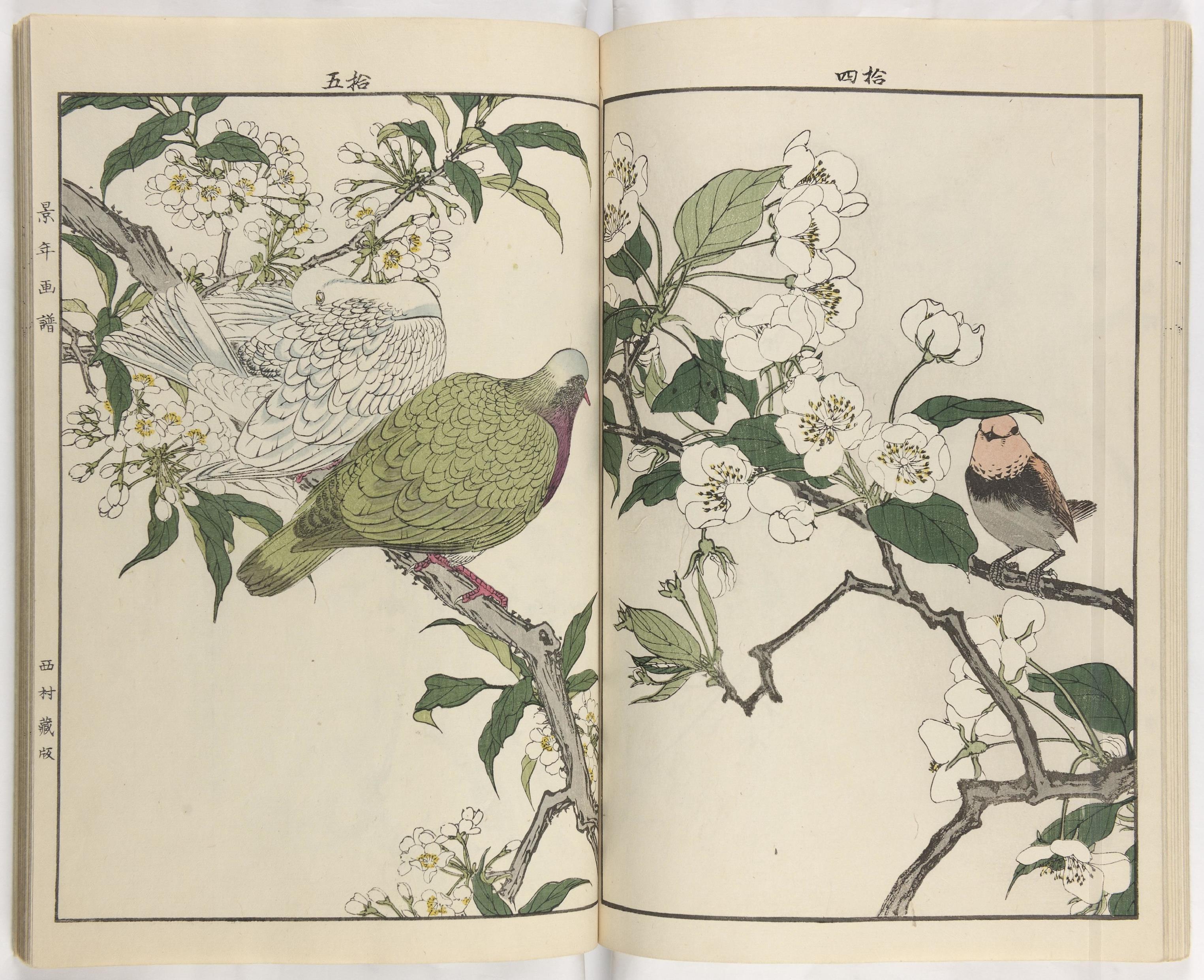 景年花鸟画谱四卷今尾景年绘西村総左卫门1892年刊本