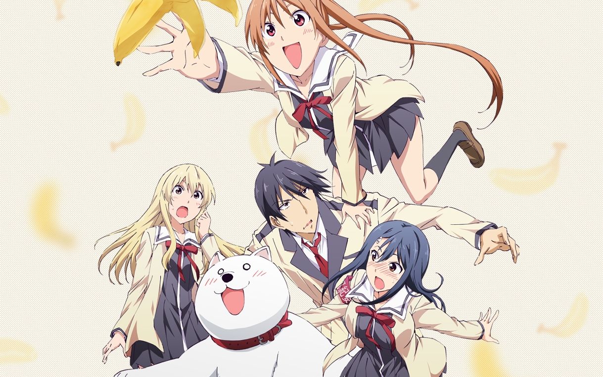 5,笨女孩创造了不少名场面的动画,不按套路走和反常套路也不少.