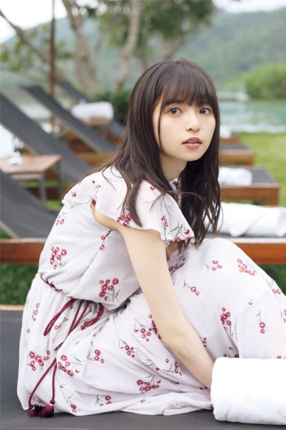 呆头飞鸟壁纸美图