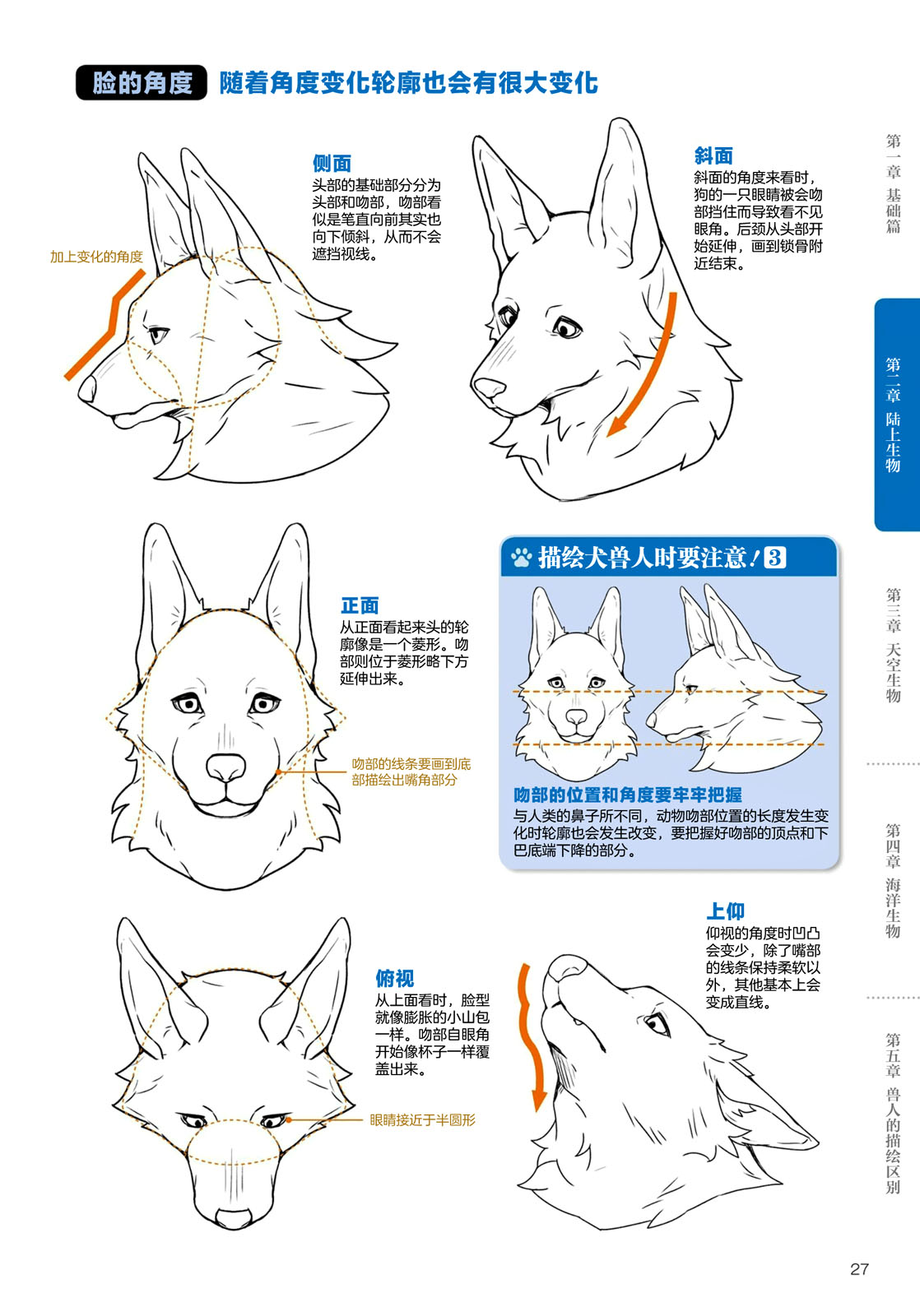 漫画教学 兽人的描绘方法 从真实系兽人到抽象系兽人 第二章陆上生物犬兽人的描绘方法 Acfun弹幕视频网 认真你就输啦
