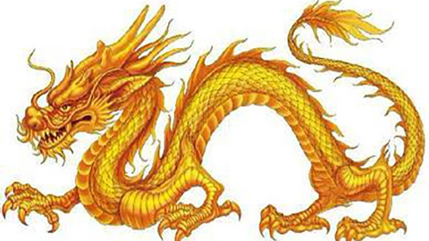 威武霸气的五爪金龙,看到它你腿软了嘛?