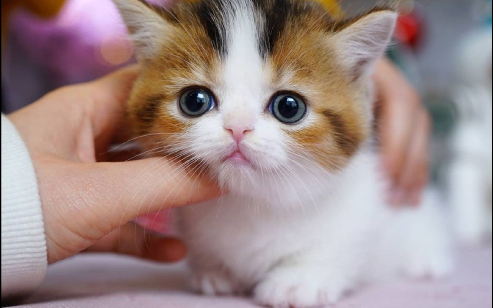 当你周天的早上突然惊醒.