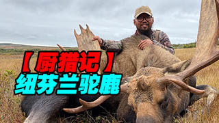 【厨猎记】纽芬兰驼鹿(S01E02)
