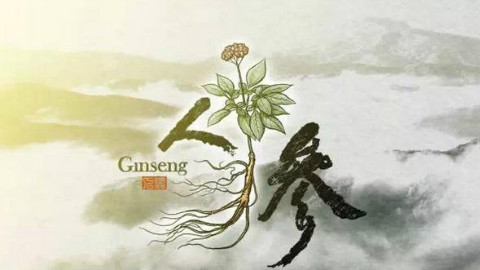 cctv 1080p【人参】(全5集)一座城池,一个传说,一座山林,一碗参汤