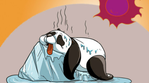 【飞碟头条】没有空调吹我就要死了!