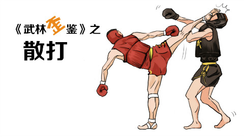 武林歪鉴2散打谁说中国武术不能打