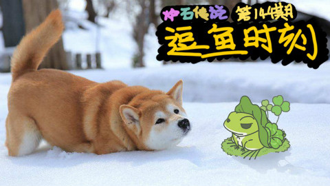 【逗鱼时刻】第144期 祝大家狗年大吉吧