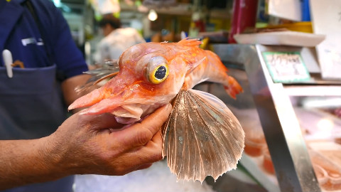 日本路边小吃 - 冲绳海鲜 橙色飞鱼