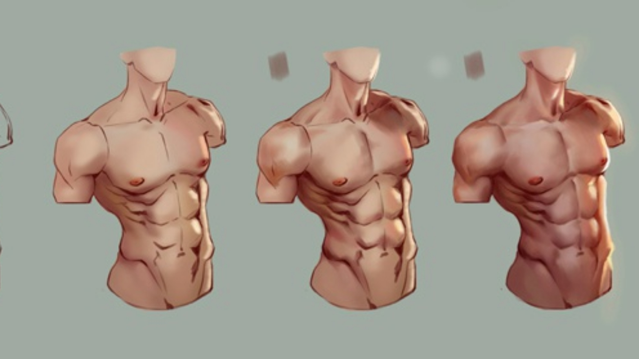 男性人物角色肌肉怎么画?人体比例讲解教程