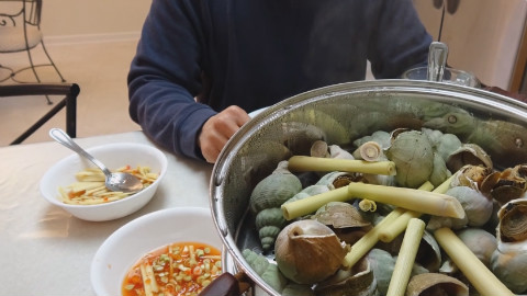 实拍越南人在家用蒸笼蒸青螺吃!海螺好大,螺肉鲜嫩无比!