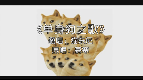 听说你还是单身肥宅?《单身狗之歌》了解一下