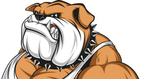 想养狗又怕麻烦吗,不如自己用zbrush做一只沙皮狗,想要什么样的做什么