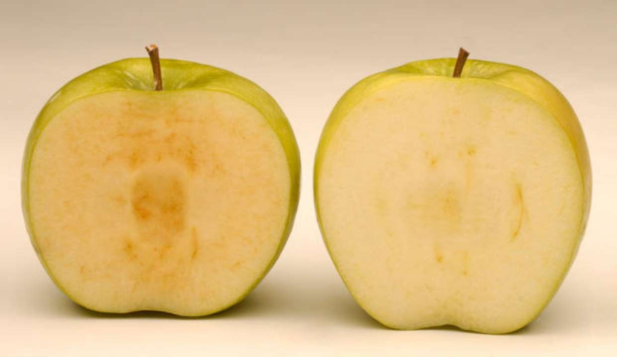 为什么苹果削皮之后,会慢慢"生锈"?