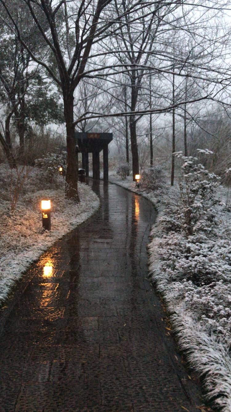 2019届现充下雪天西溪游览