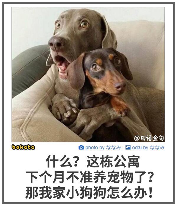 【日式冷吐槽】合集(8)打印机修好了