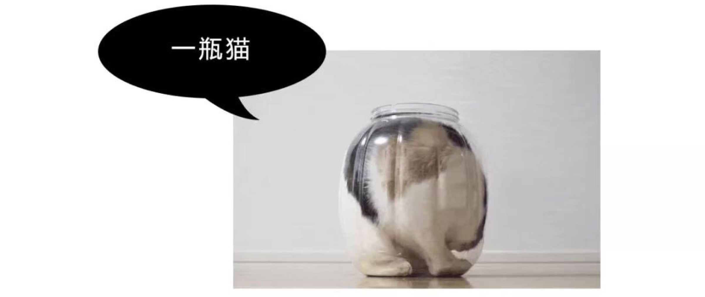 仿佛就是一坨液体 想什么姿势就什么姿势 想去哪里就去哪里 固体我们