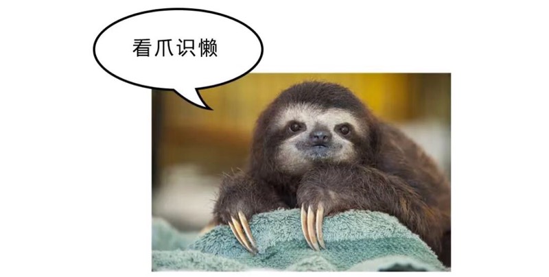 巨爪地懒,地懒图片,巨型地懒_大山谷图库