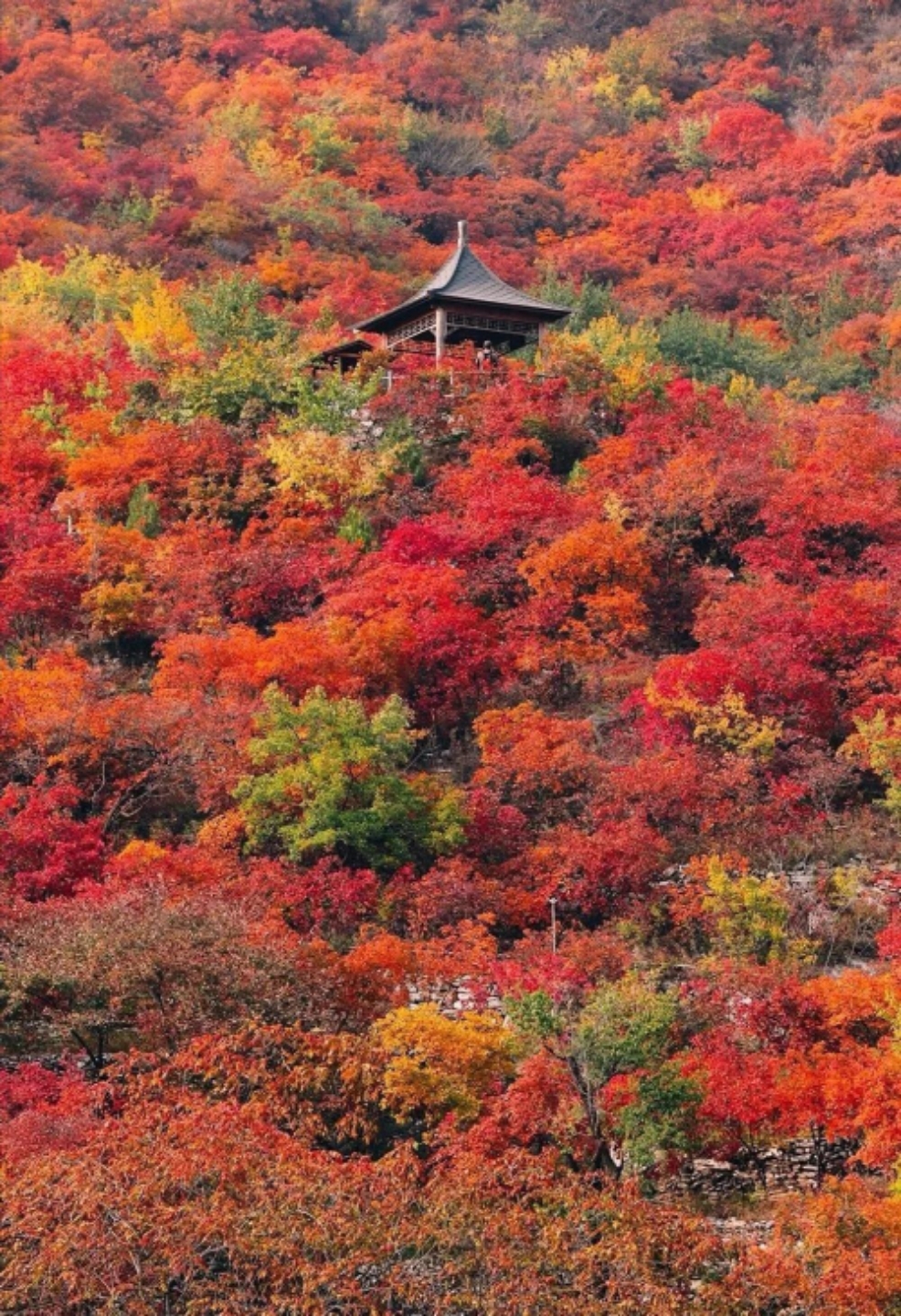 北京秋季红叶最佳景点图片