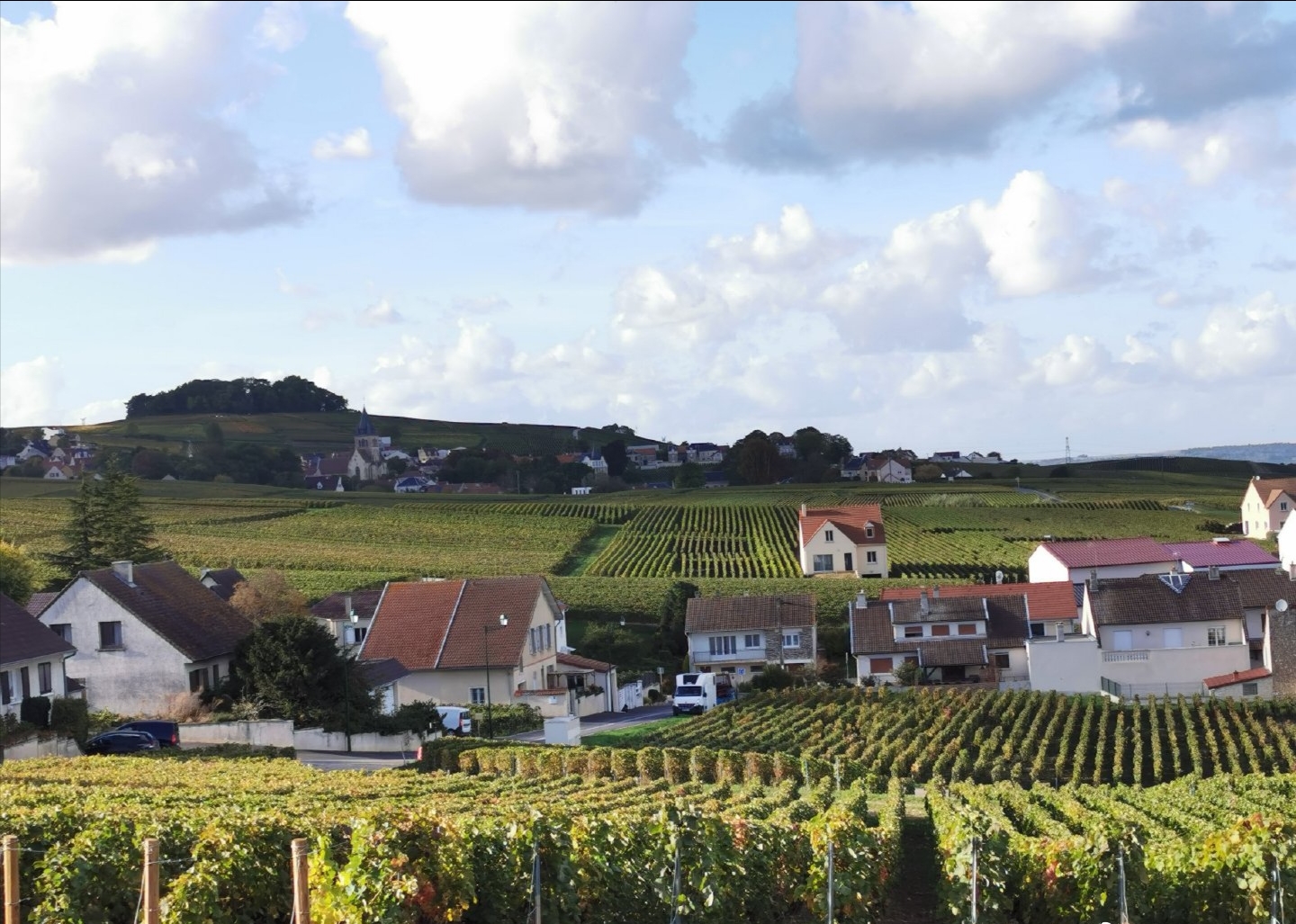 法国香槟区科普时间到喽