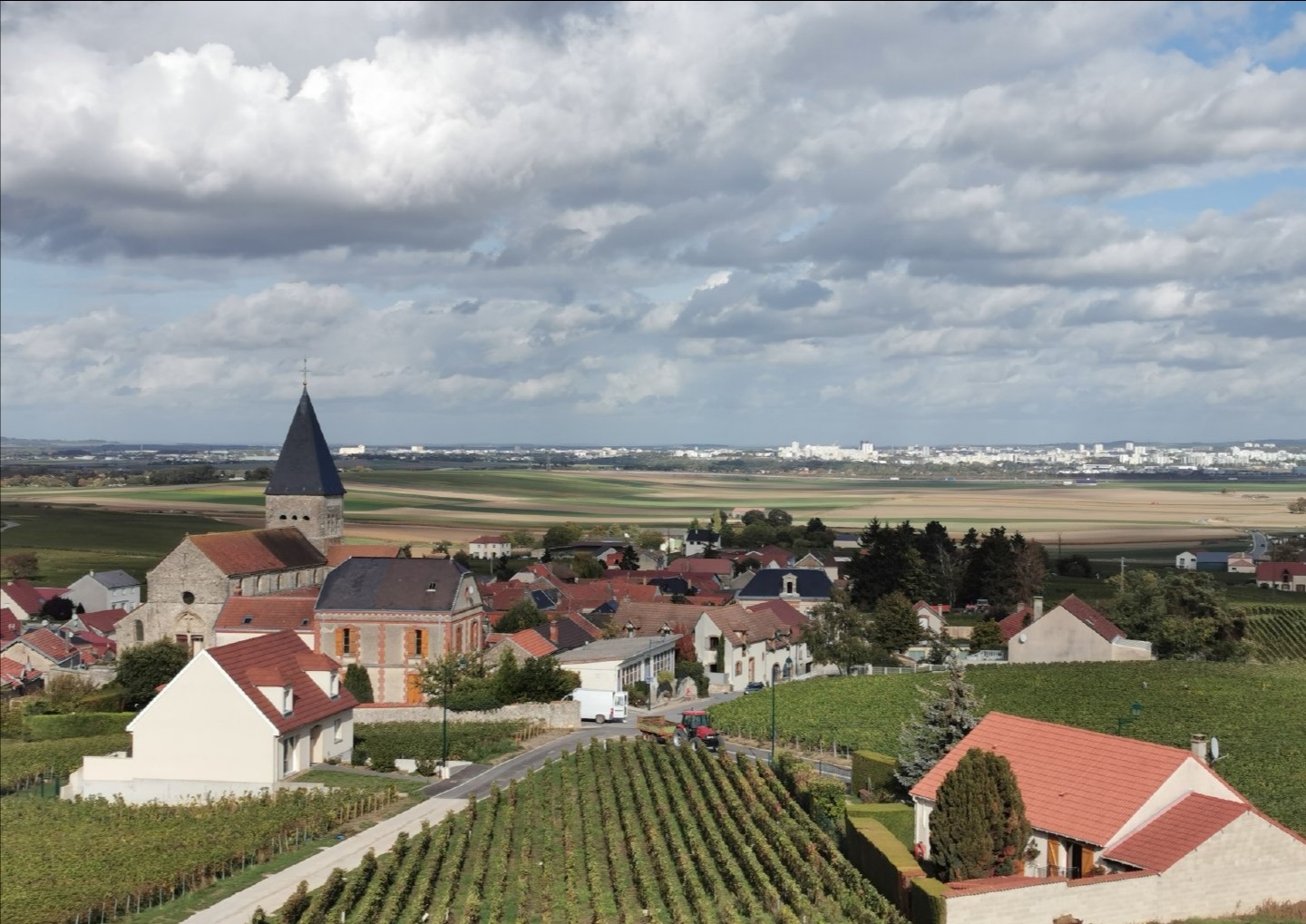 法国香槟区科普时间到喽