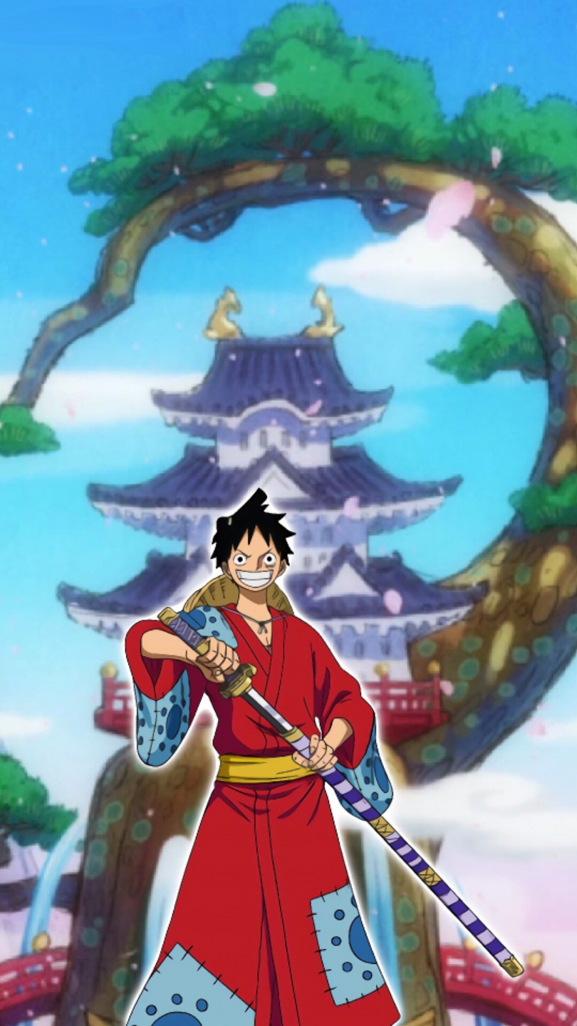 海贼王和之国篇章的草帽一伙67