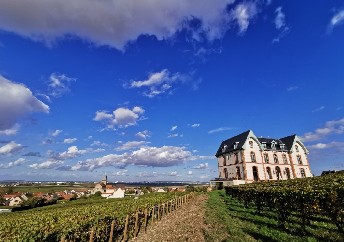 法国兰斯市香槟区最美古堡坐落在大片大片的葡萄园中